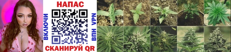 Купить наркотики сайты Балабаново КОКАИН АМФ Героин Каннабис Мефедрон ГАШ