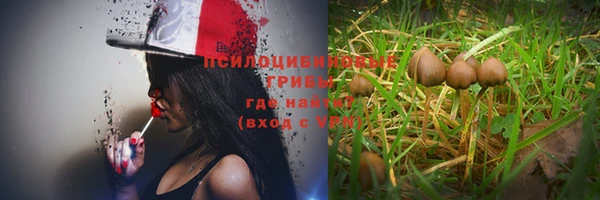 шишки Баксан