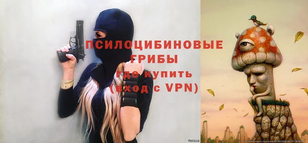 шишки Баксан