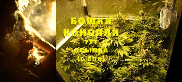 шишки Баксан
