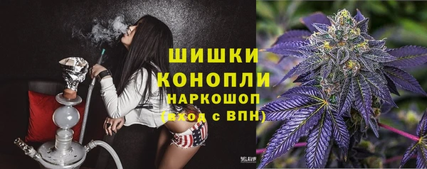 шишки Баксан