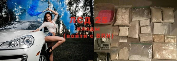 шишки Баксан