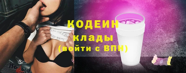 шишки Баксан